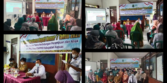 Sosialisasi