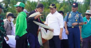 Wagub Kalteng