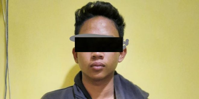 Menyetubuhi