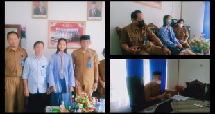 Disbudpora