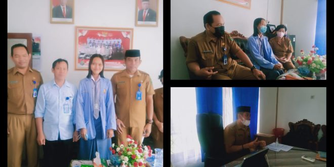 Disbudpora